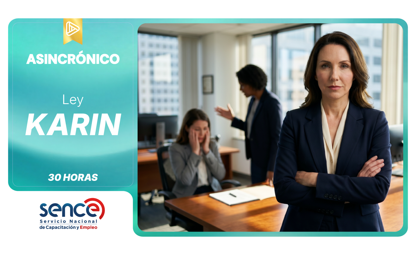 Ley Karin